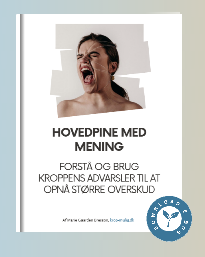 Download min gratis e-bog om, hvad din hovedpine forsøger at fortælle dig